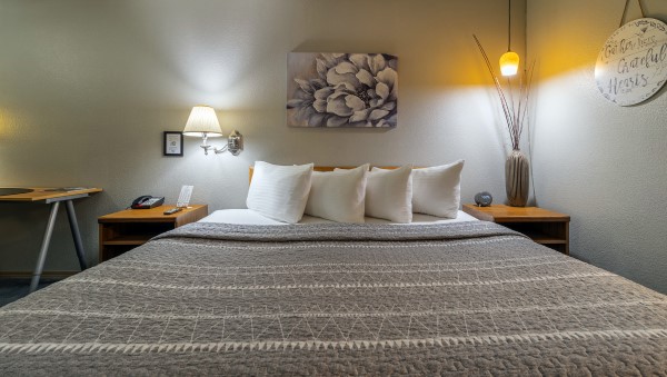 1 King Bed Nonsmoking Photo 2